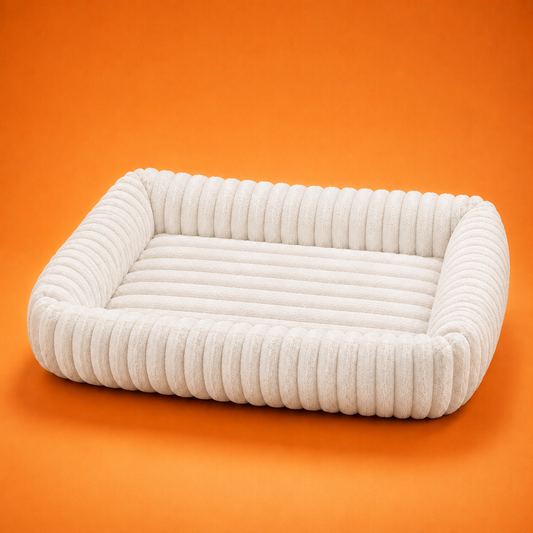 Panier Orthopédique